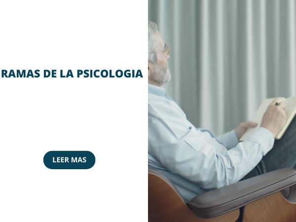 Ramas de la psicología