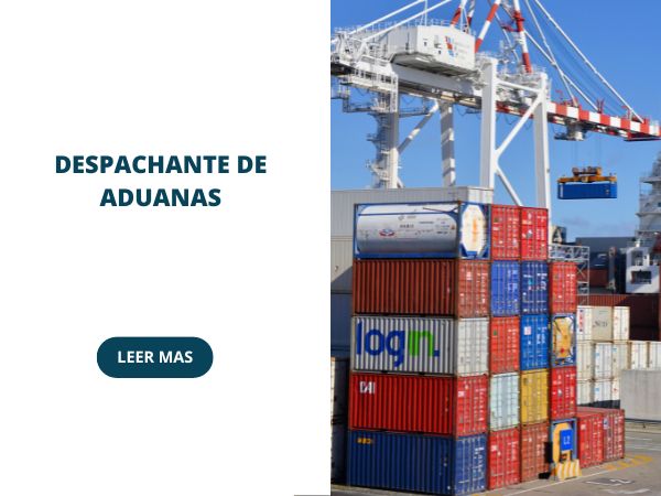 que estudiar para ser despachante de aduanas