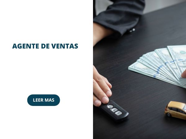 agente de ventas