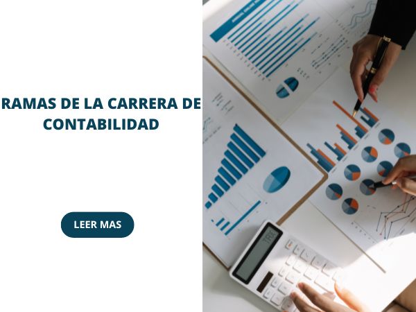ramas de la carrera de contabilidad