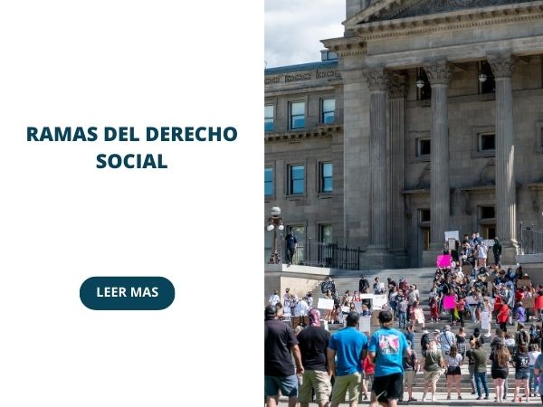 Ramas del derecho social