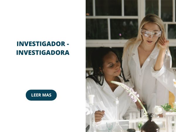 Investigador - Investigadora