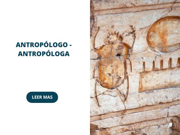 Antropólogo - Antropóloga