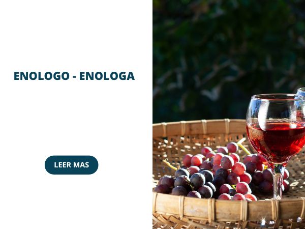 enologo-enologa