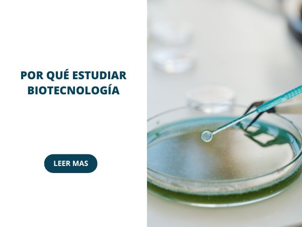 Por qué estudiar Biotecnología