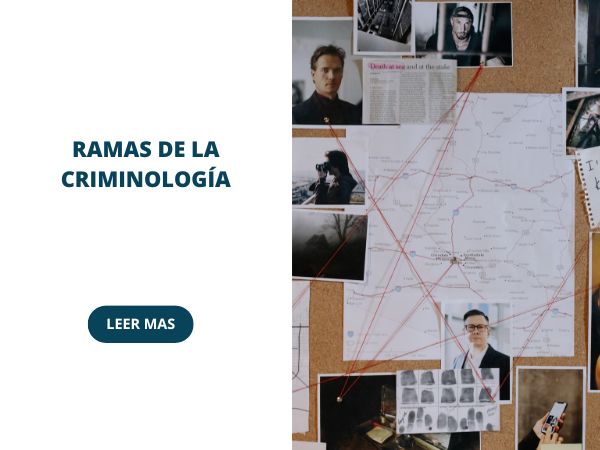 cuales son las ramas de la criminologia